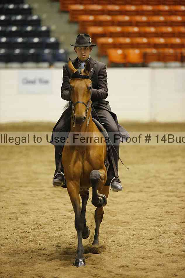 Proof 14buck_5465