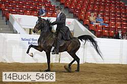 14buck_5466 proof