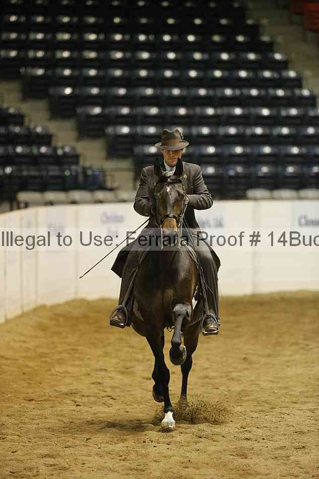 Proof 14buck_5467