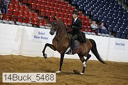 14buck_5468 proof