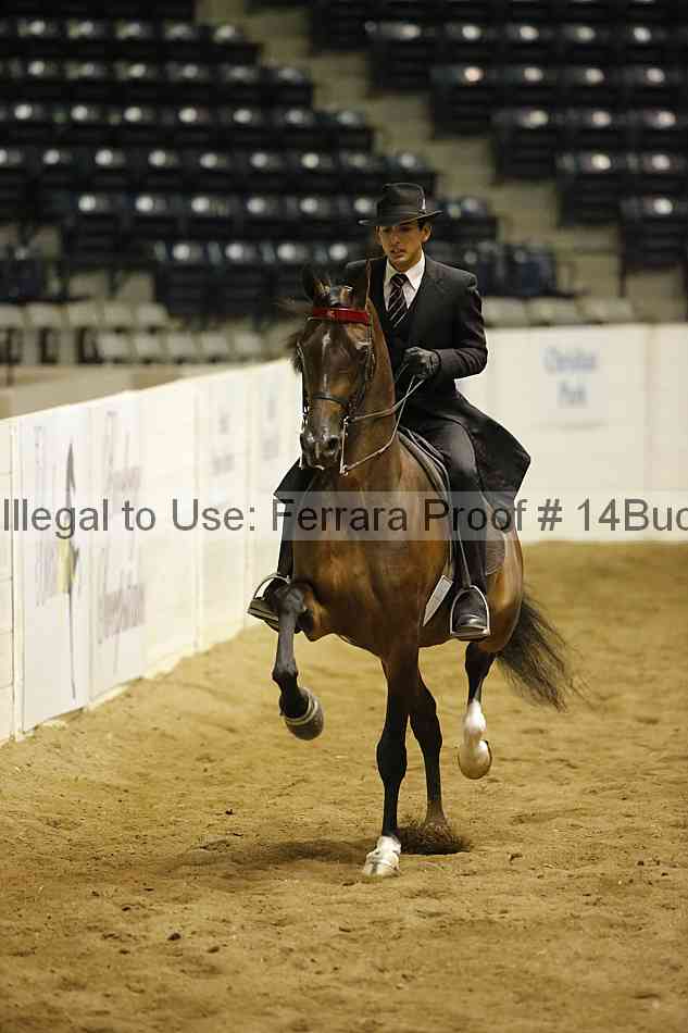Proof 14buck_5470
