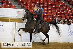 14buck_5474 proof