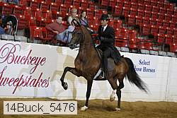 14buck_5476 proof