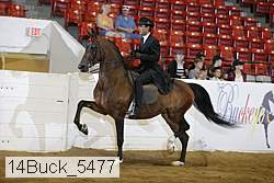 14buck_5477 proof