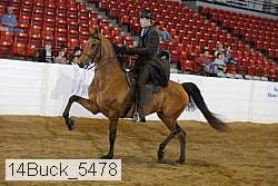 14buck_5478 proof