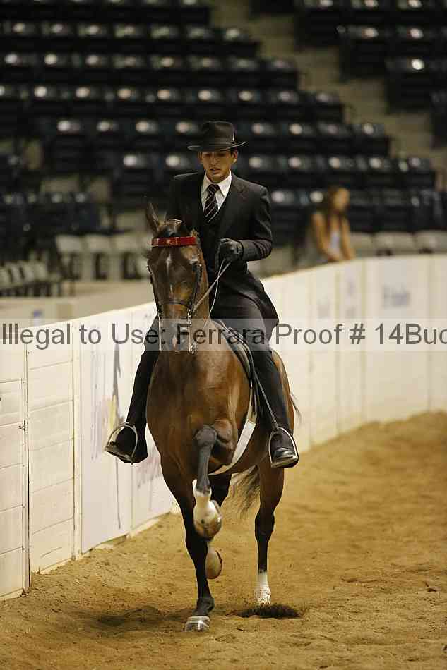 Proof 14buck_5479