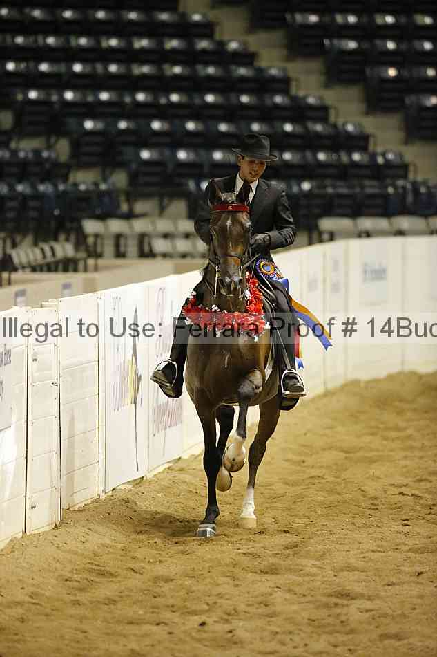 Proof 14buck_5482