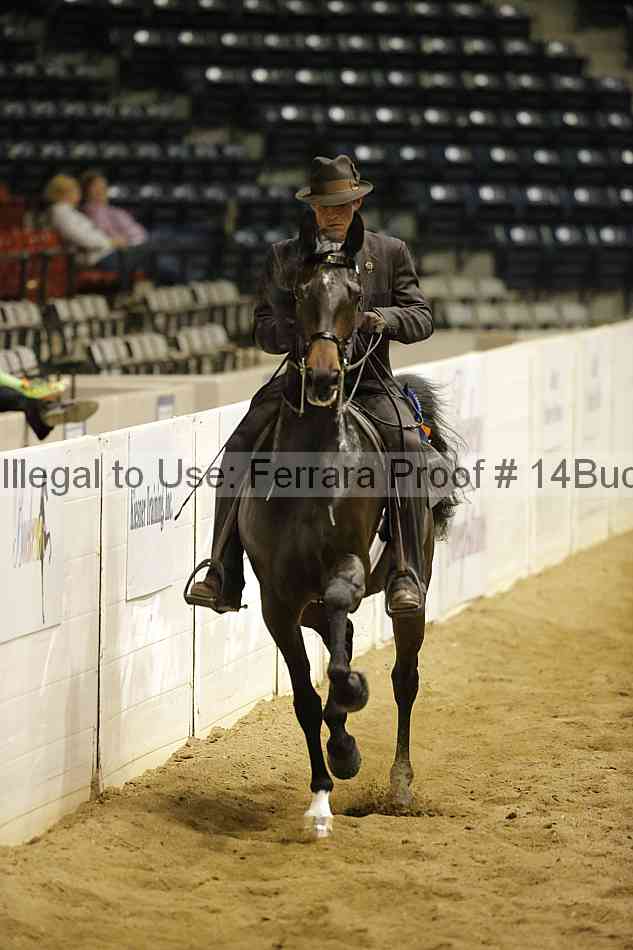Proof 14buck_5486