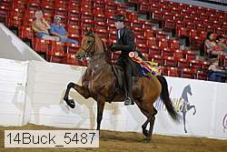 14buck_5487 proof