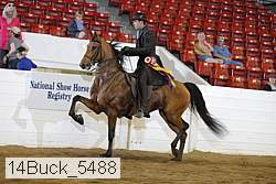 14buck_5488 proof