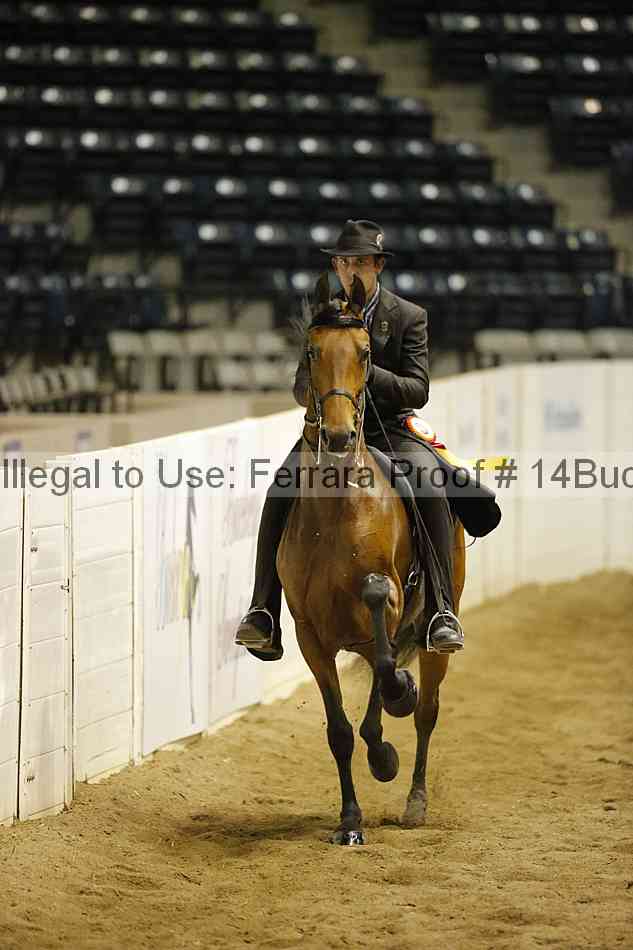 Proof 14buck_5491
