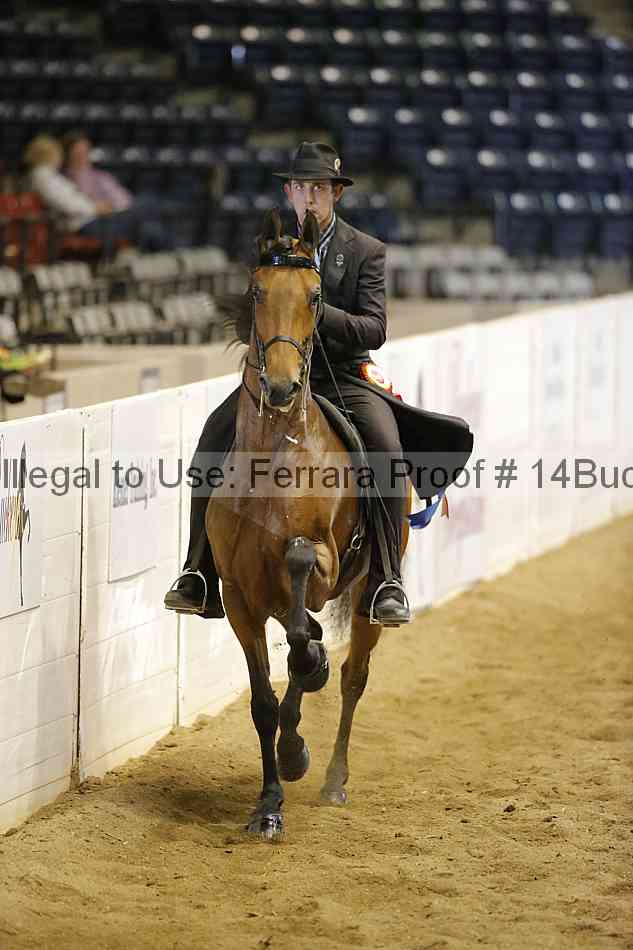 Proof 14buck_5492