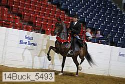 14buck_5493 proof