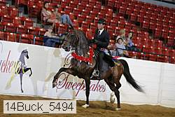 14buck_5494 proof