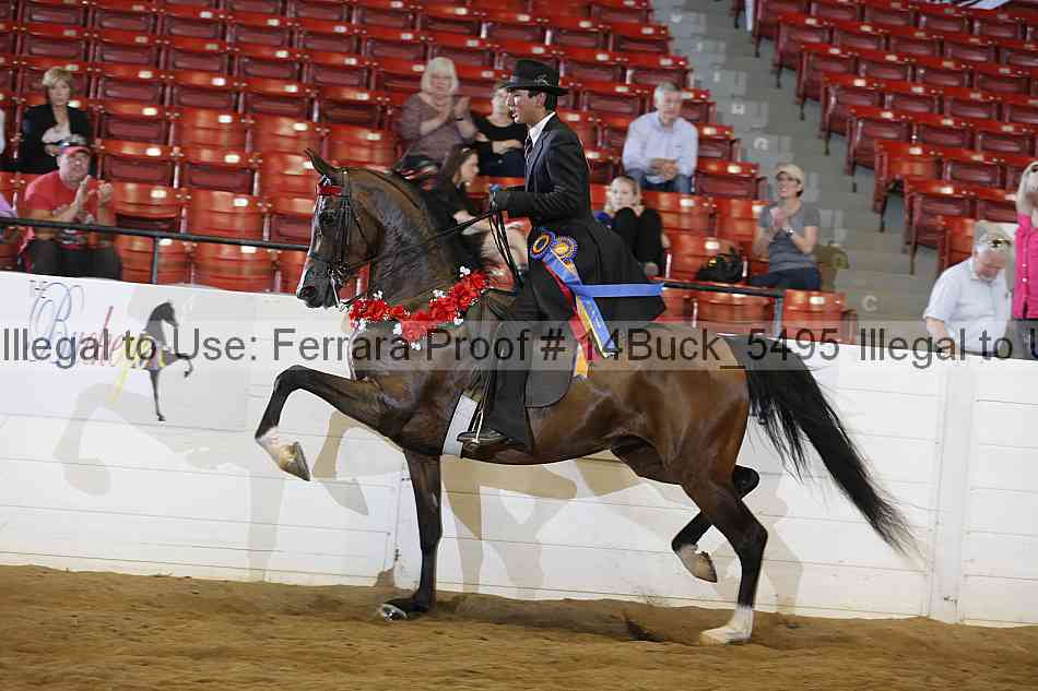 Proof 14buck_5495
