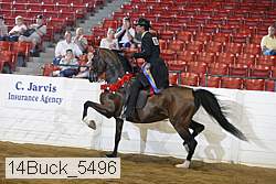 14buck_5496 proof