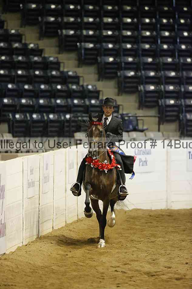 Proof 14buck_5497