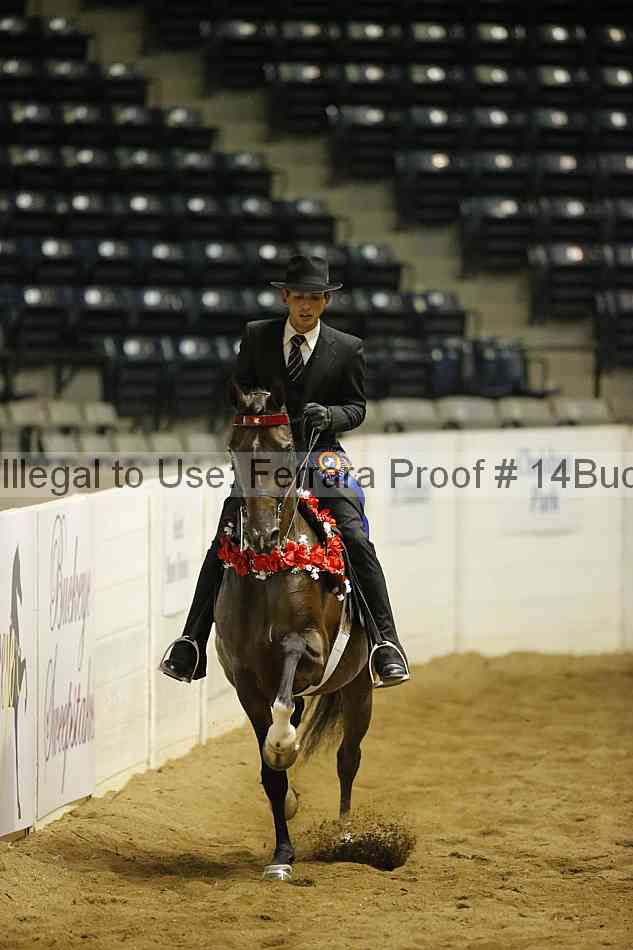 Proof 14buck_5498