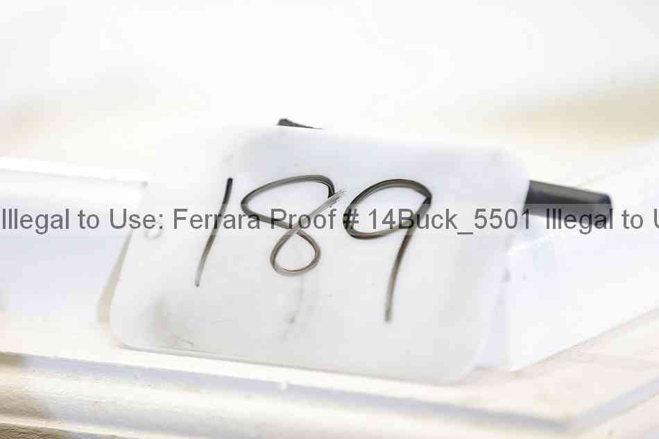 Proof 14buck_5501