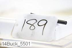 14buck_5501 proof