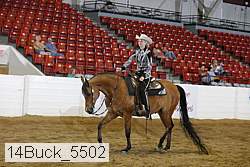 14buck_5502 proof