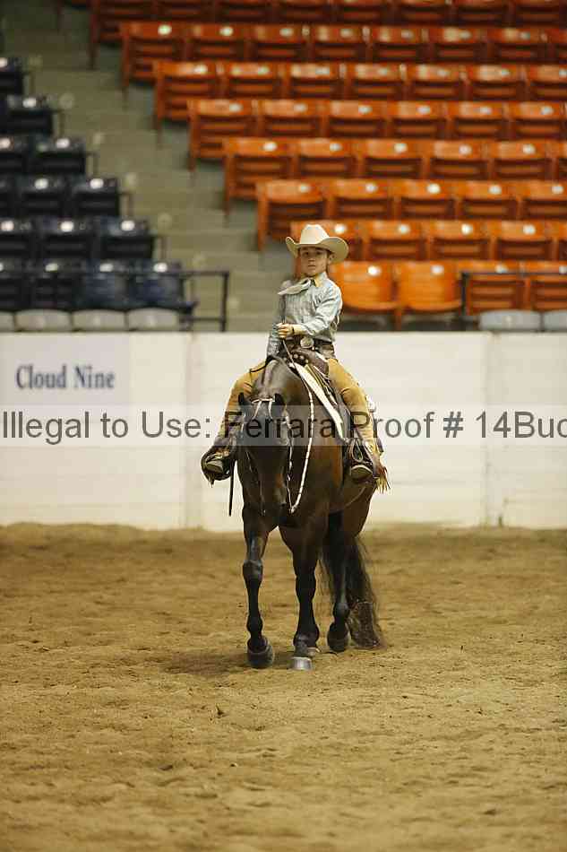 Proof 14buck_5503