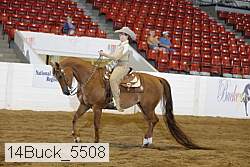 14buck_5508 proof