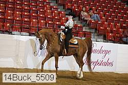 14buck_5509 proof
