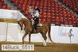 14buck_5511 proof