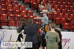 14buck_5520 proof