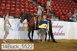 14buck_5522 proof