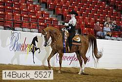 14buck_5527 proof