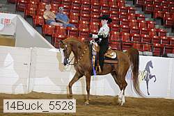 14buck_5528 proof