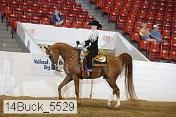 14buck_5529 proof