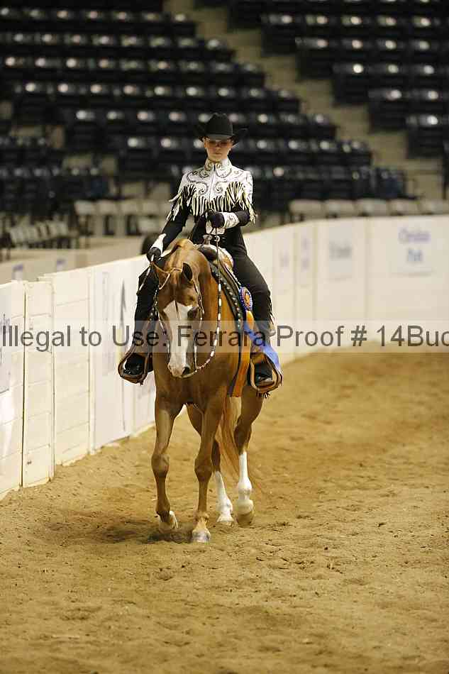 Proof 14buck_5531
