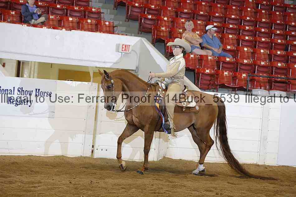 Proof 14buck_5539