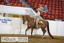 14buck_5539 proof