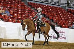 14buck_5542 proof