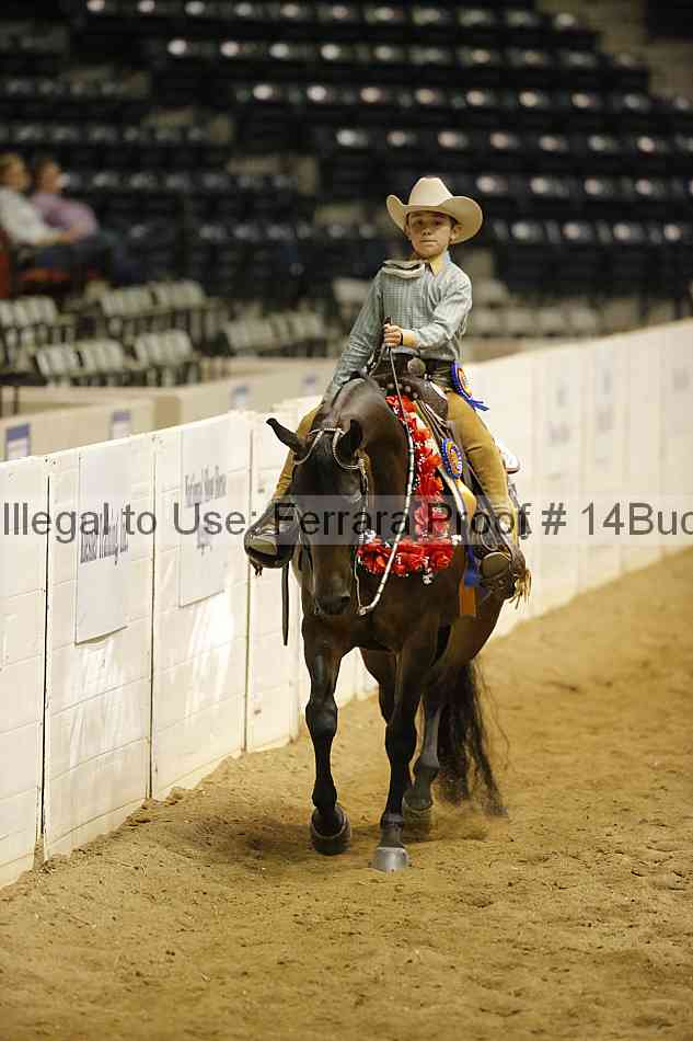 Proof 14buck_5549