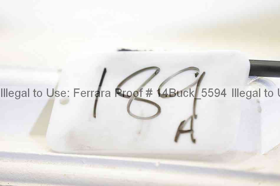 Proof 14buck_5594