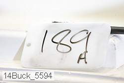 14buck_5594 proof
