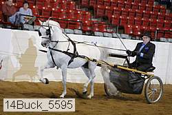 14buck_5595 proof