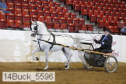14buck_5596 proof