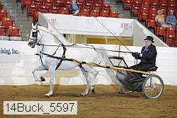 14buck_5597 proof