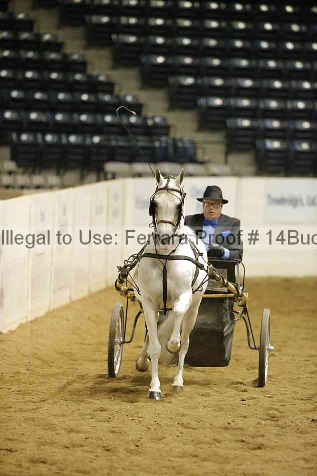 Proof 14buck_5598