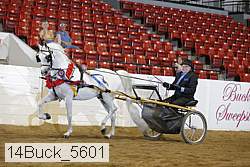 14buck_5601 proof