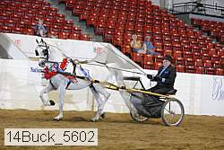 14buck_5602 proof