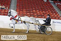 14buck_5603 proof