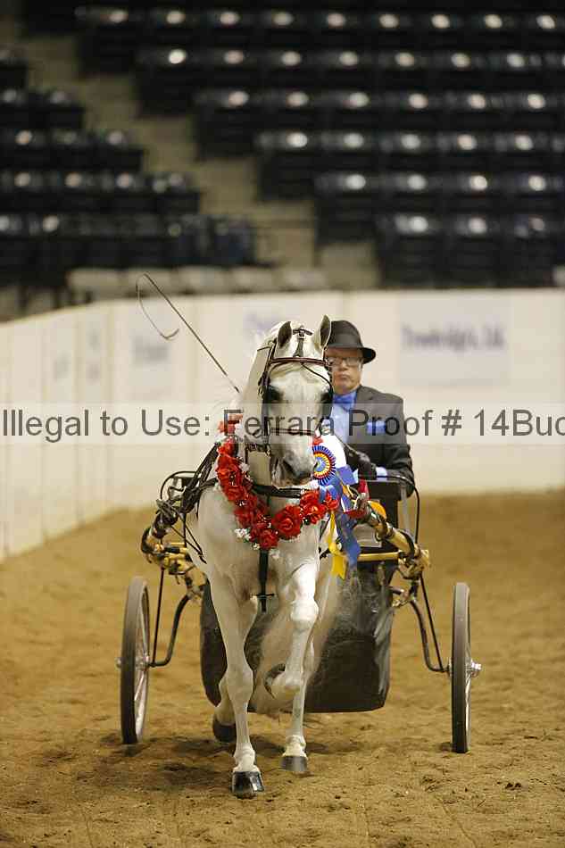 Proof 14buck_5605