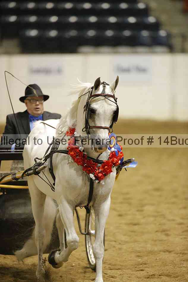 Proof 14buck_5607